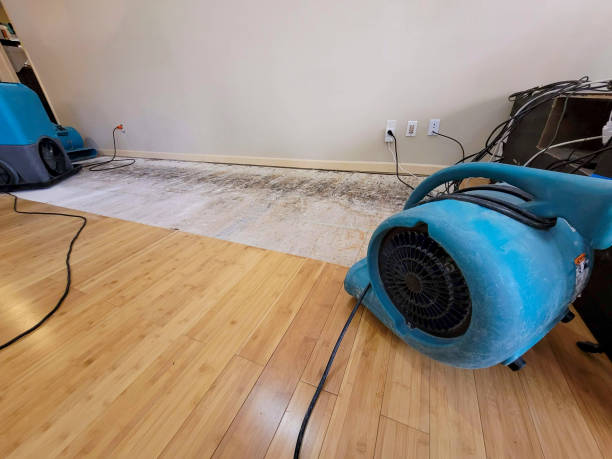 Professional Sewage Cleanup technician working in Kidder, MO
